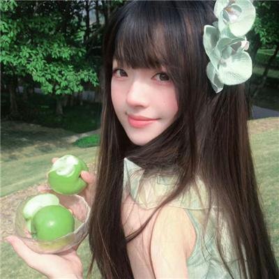 公主日记